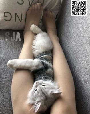 赶尽杀绝 电影_BD国语免费观看视频