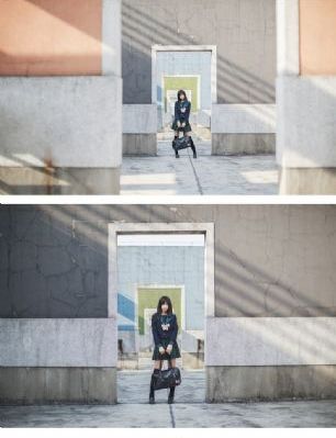会长是女仆大人观看全集_完整版BD高清中字